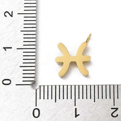 Ion Plating(IP) 304 Stainless Steel Micro Pave Cubic Zirconia Charms STAS-Z107-09G-05-1