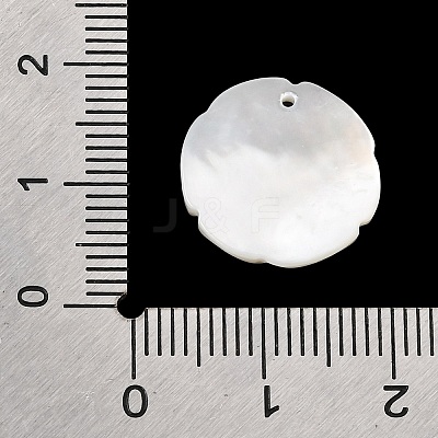 Natural White Shell Pendants SH-CBA69D1-06A-1