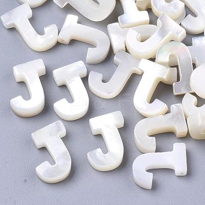 Natural Sea Shell Beads SHEL-T012-60J-1