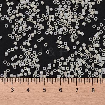 Cylinder Seed Beads X-SEED-H001-F08-1