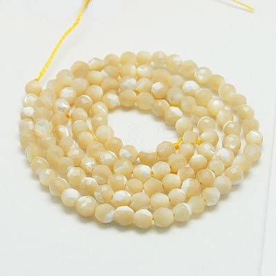 Natural Shell Beads Strands G-K020-3mm-02-1
