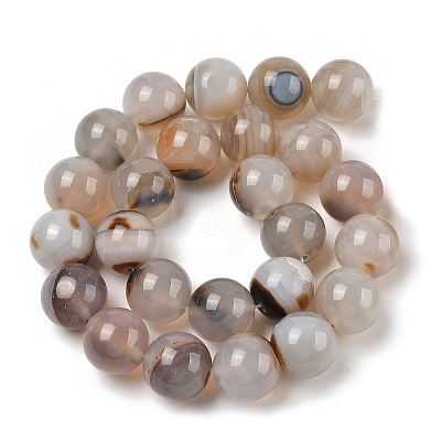 Natural Dendritic Agate Beads Strands G-A248-A07-07-1