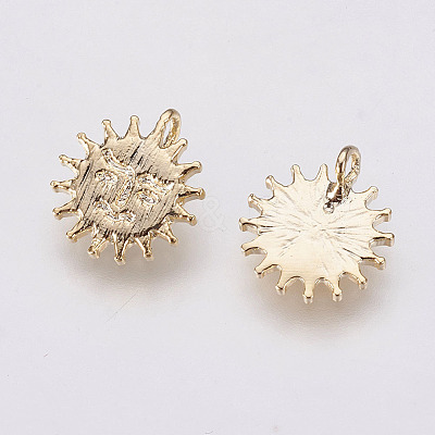 Long-Lasting Plated Brass Charms X-KK-F741-04G-1
