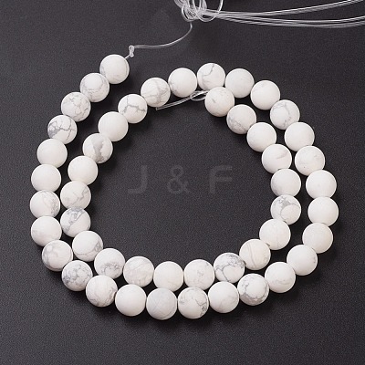 Natural Howlite Beads Strands G-G770-06-1