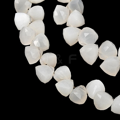Natural White Moonstone Beads Strands GG-CBA7F68-02-1