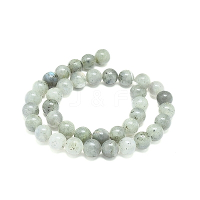 Natural Labradorite Beads Strands G-G828-01-10mm-1