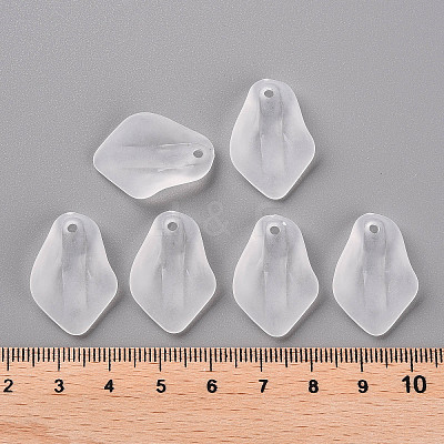 Transparent Frosted Acrylic Pendants MACR-S371-03A-701-1