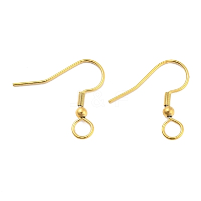 304 Stainless Steel Earring Hooks STAS-B047-30G-1