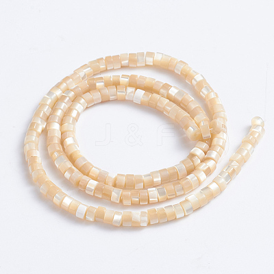 Natural Trochid Shell/Trochus Shell Beads Strands SSHEL-L016-13B-1