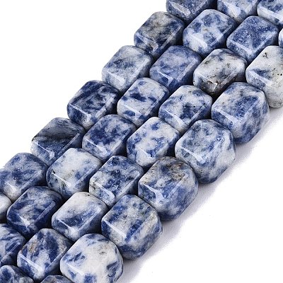 Natural Blue Spot Jasper Beads Strands G-Q608-10G-1
