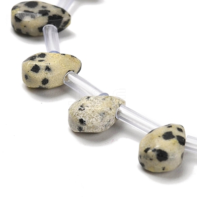 Natural Dalmatian Jasper Beads Strands G-Q167-A20-02-1