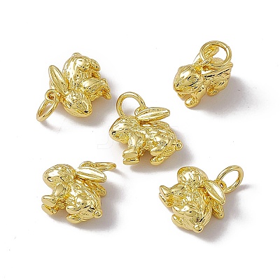 Rack Plating Brass Charms KK-C007-17G-1