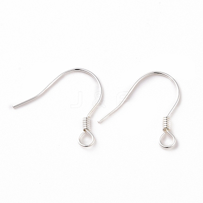 925 Sterling Silver Earring Hooks STER-D035-22S-1