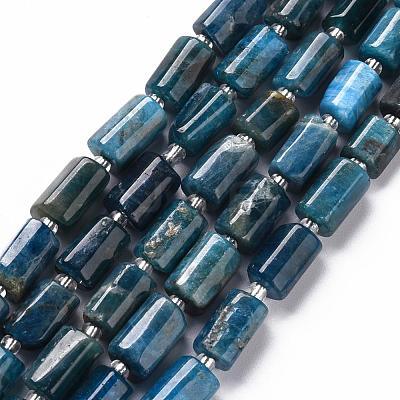 Natural Apatite Beads Strands G-S345-8x11-003-1