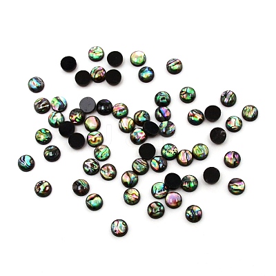 Paua Shell Cabochons SHEL-WH0001-002A-1