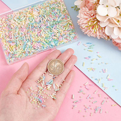 6000Pcs 12 Style Glass Seed Beads SEED-PH0002-13-1