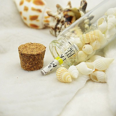 Glass Wishing Bottles X-DJEW-J001-04-1