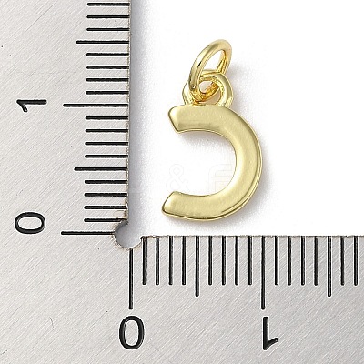 Rack Plating Brass Charms KK-P245-06G-C-1