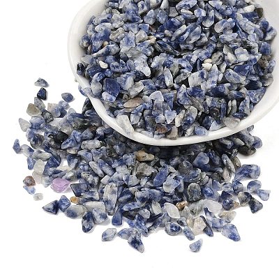 Natural Blue Spot Jasper Beads G-K397-02-1