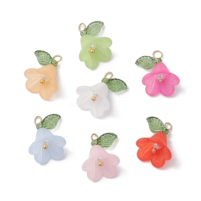 Acrylic Pendants PALLOY-TA00145-1