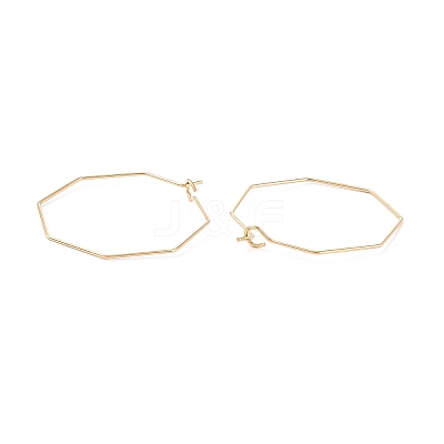 Ion Plating(IP) 316 Stainless Steel Hoop Earrings Findings STAS-C029-03G-1