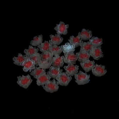 Luminous Resin Decoden Cabochons RESI-K036-06D-1