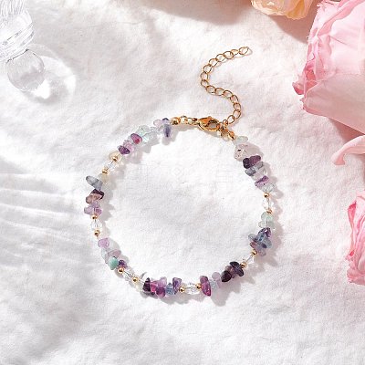 Natural Fluorite Chip Beaded Bracelets for Women BJEW-JB11742-06-1