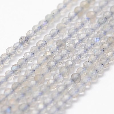 Natural Labradorite Beads Strands G-K185-10-1