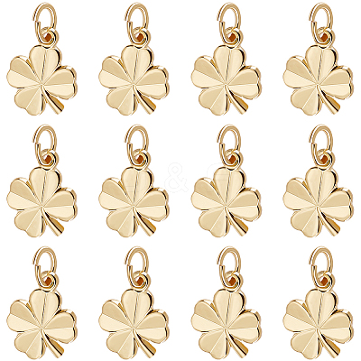 40Pcs Brass Charms KK-BBC0008-55-1