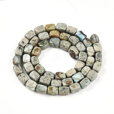 Natural Variscite Beads Strands G-N346-04A-11-1