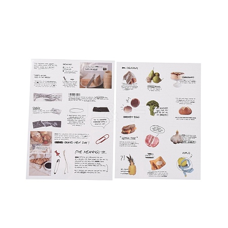 PET Tags Picture Stickers LS-AJEW-R098-01D-1
