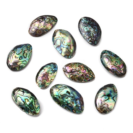 Natural Paua Shell Cabochons SSHEL-S280-01B-1