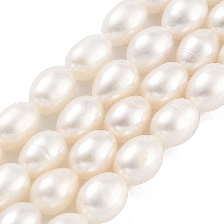 Natural Cultured Freshwater Pearl Beads Strands PEAR-P062-10F-1