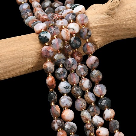 Natural Red Tree Agate Beads Strands G-K389-B89-01-1
