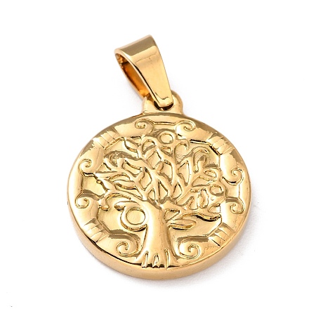304 Stainless Steel Pendants STAS-J036-010G-1