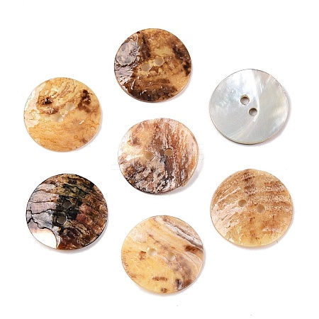 2-Hole Mother of Pearl Buttons SHEL-T012-43D-1