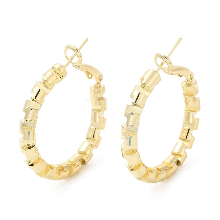 Punk Style Brass Hoop Earrings EJEW-A102-04G-1