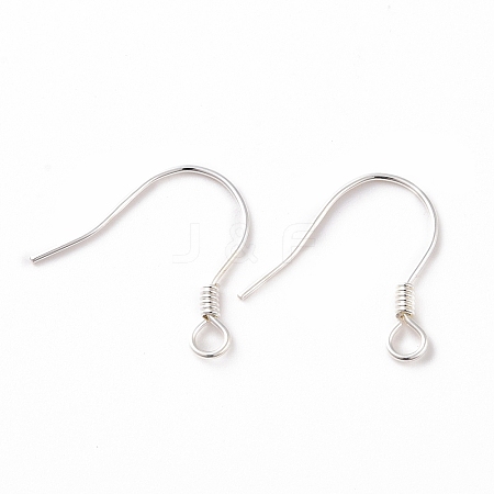 925 Sterling Silver Earring Hooks STER-D035-22S-1