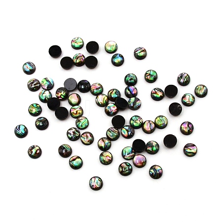 Paua Shell Cabochons SHEL-WH0001-002A-1