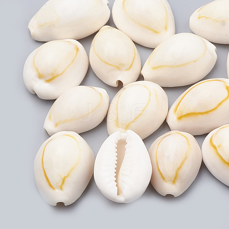 Cowrie Shell Beads SSHEL-T004-06-1