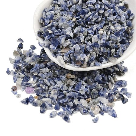 Natural Blue Spot Jasper Beads G-K397-02-1