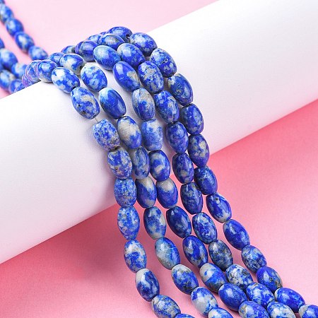Natural Lapis Lazuli Beads Strands G-K311-10B-03-1