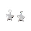 Non-Tarnish 304 Stainless Steel Charms STAS-N095-138-1