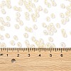 6/0 Glass Seed Beads SEED-T006-04F-05-4