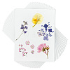 Dried Embossed Paper DIY-WH0622-646A-1