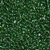 8/0 Glass Seed Beads X2-SEED-A005-3mm-27-2