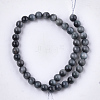 Natural Hawk's Eye Beads Strands G-S333-4mm-027-2