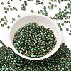 Glass Seed Beads SEED-H002-B-D221-2