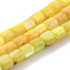 Natural Freshwater Shell Beads Strands SHEL-F008-04E-1