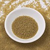MIYUKI Delica Beads SEED-MY11-DB0771-2